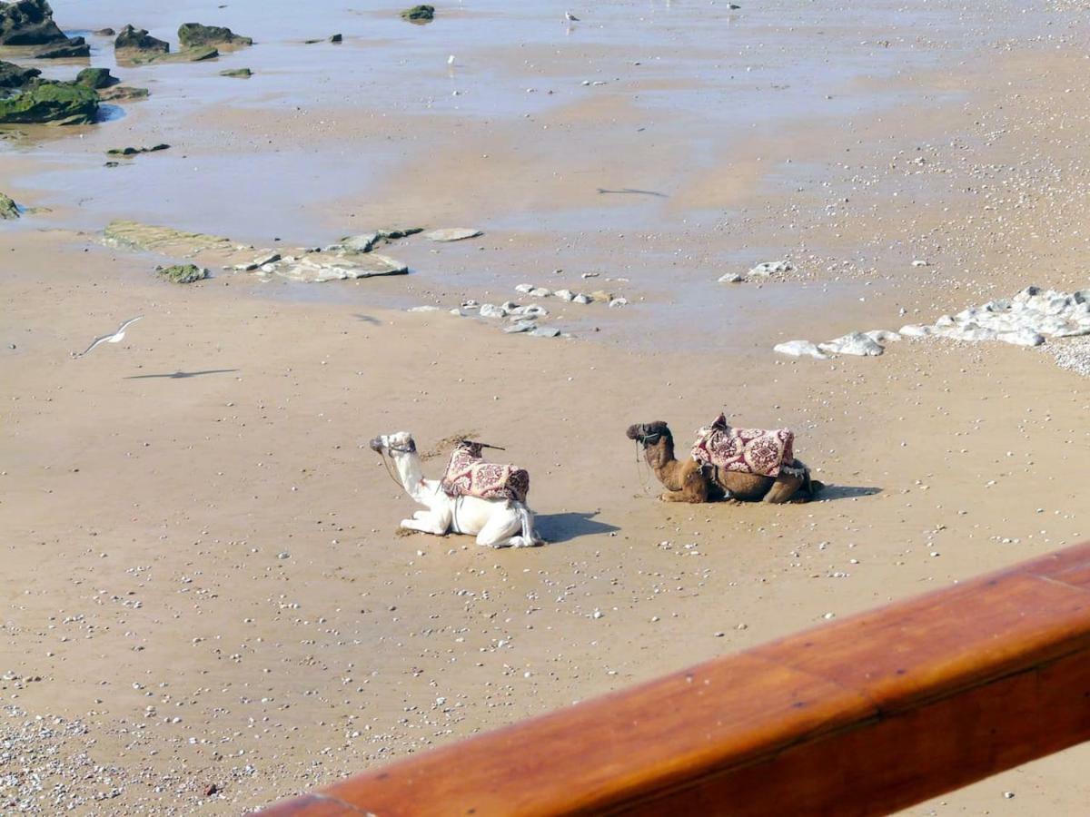 Taghazout Playa 아파트 외부 사진